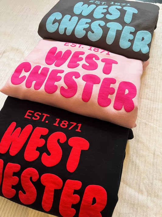 Puffy West Chester Hoodies **New Colors**