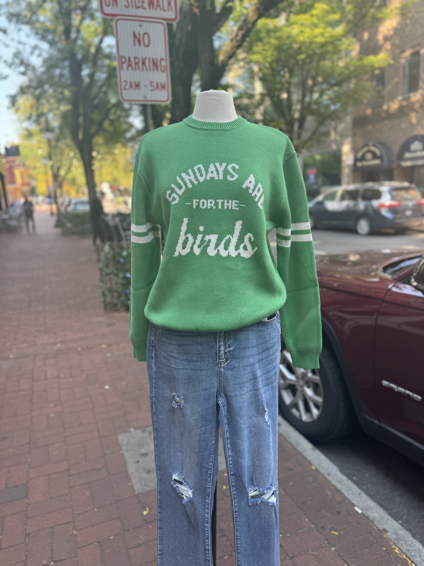 Sundays Are For The Birds Eagles Knit Sweater