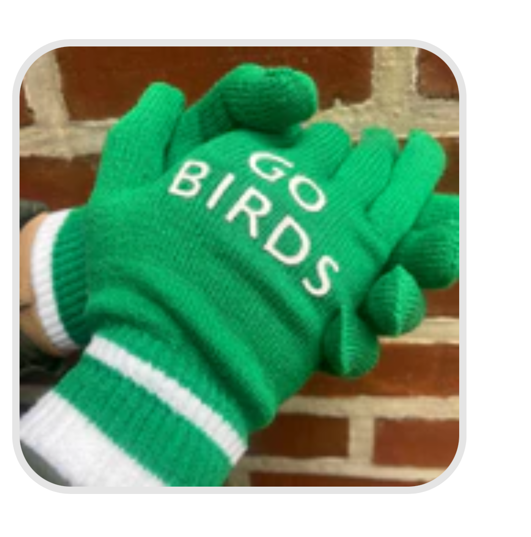 *NEW* Go Birds Eagles Gloves