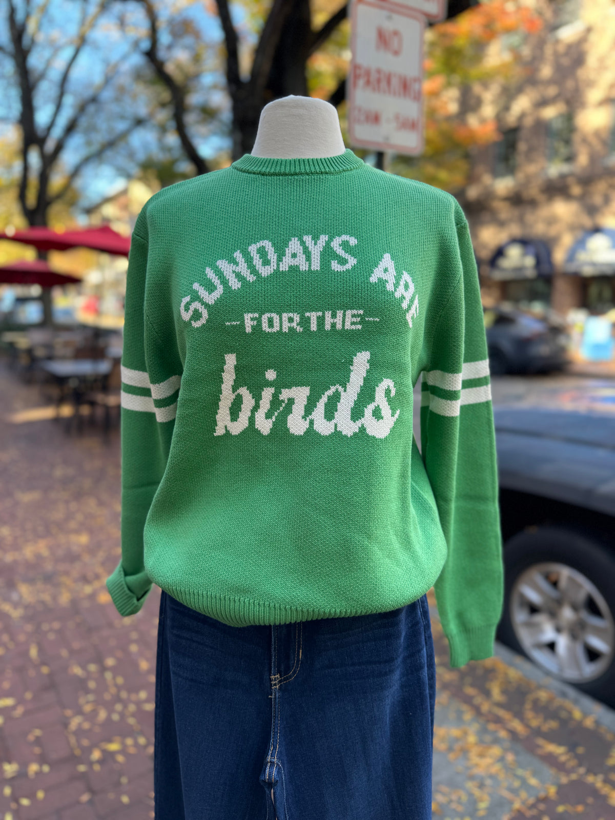 Sundays are for the Birds Sweater