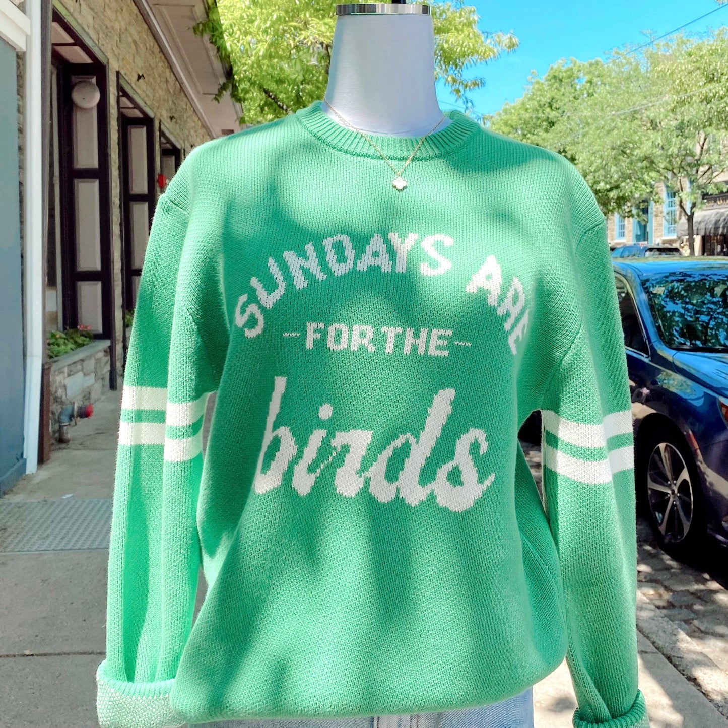 Sundays Are For The Birds Eagles Knit Sweater